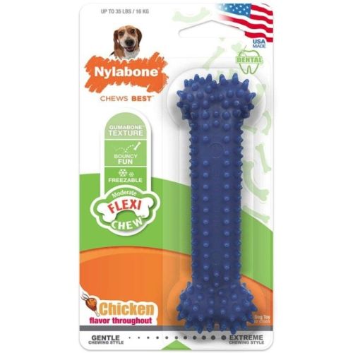 Nylabone Dental Chew Bone